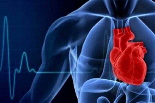 بیماری قلبی عامل نخست مرگ ومیر درگناوه است