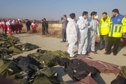 جسدهای جمع‌آوری شده سانحه سقوط هواپیما به پزشکی قانونی تحویل شد