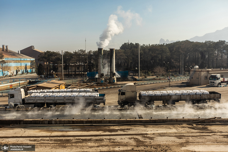 شوق شیرین تولید شکر / کارگران تولید قند و شکر