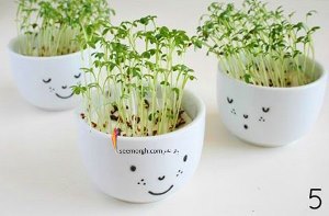 سبزه عید را برای کودکتان اینگونه تزیین کنید