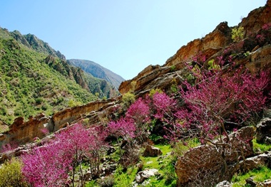 پیوست های زیست محیطی در تفرجگاه ارغوان لحاظ شده است