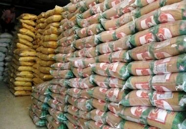 قیمت برنج هندی در بازار 2 برابر شد