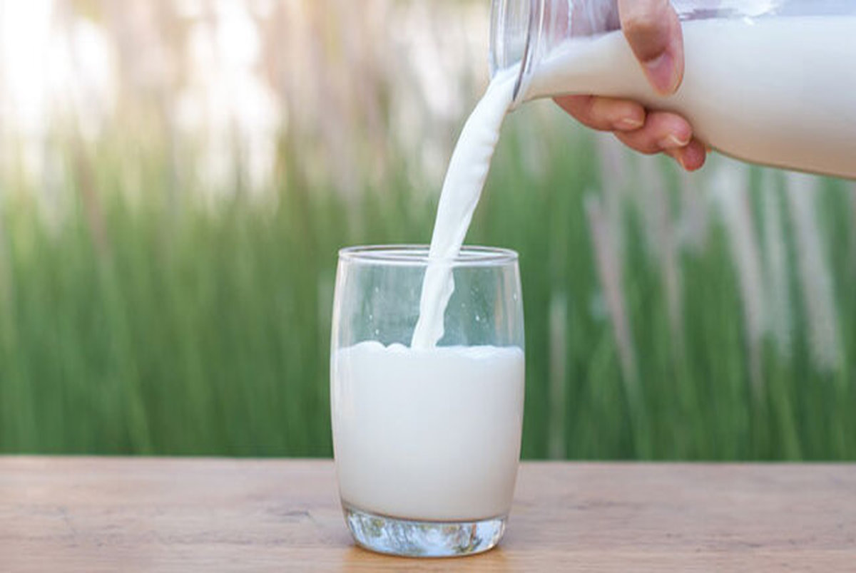 پالم شیر نگران کننده است؟