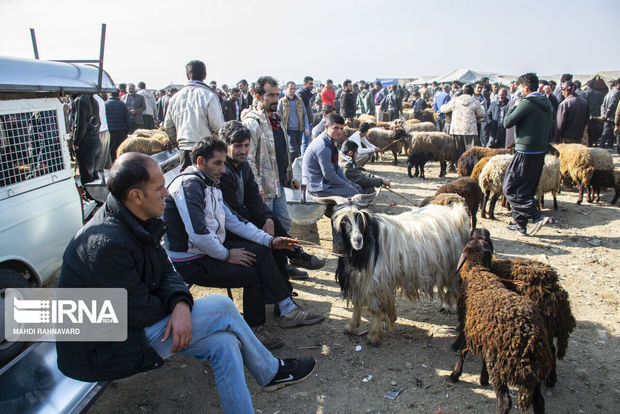 میدان دواب و بازار هفتگی شاهین‌دژ هم تعطیل شد