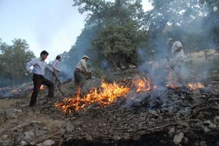 آتش‌سوزی جنگل‌ها و مراتع کهگیلویه و بویراحمد امسال 20 درصد کاهش یافت