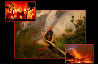 آتش سوزی در لس آنجلس آتش سوزی در کالیفرنیا (20)