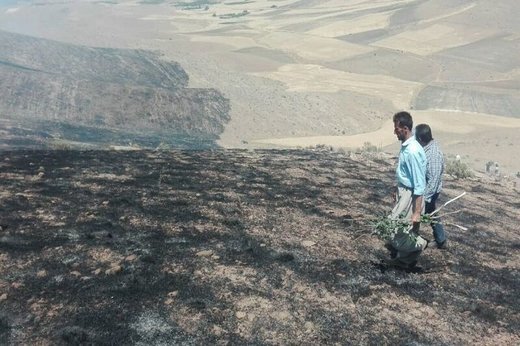 مهار آتش سوزی در ۱۰۰ هکتار از مراتع بخش گندمان