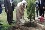 کاشت درخت توسط آیت الله جنتی+ عکس