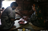 زندگی سخت ساکنان غریب آباد سیستان و بلوچستان (11)