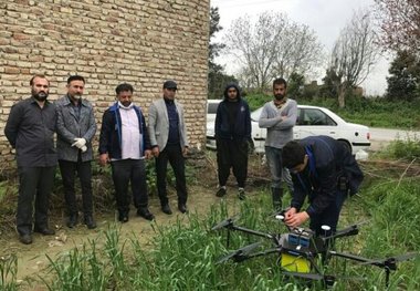 مزارع بندرگز با پهپاد سمپاشی شد