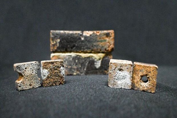 باکتری‌هایی که قرار است روی ماه شهرسازی کنند
