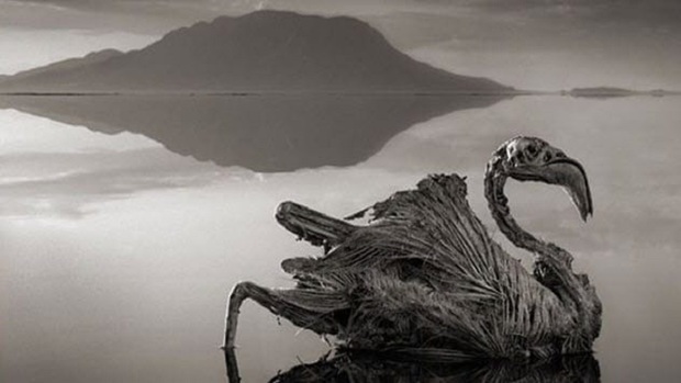 مکان‌های فوق العاده و سورئالی که روی زمین قرار دارند+تصاویر