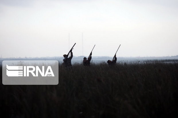 میل تفنگداران مجوزدار به شکار غیرمجاز در مازندران کاهش یافت