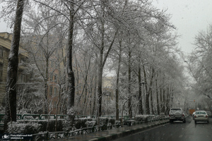 برف امروز تهران - 20 بهمن 1401