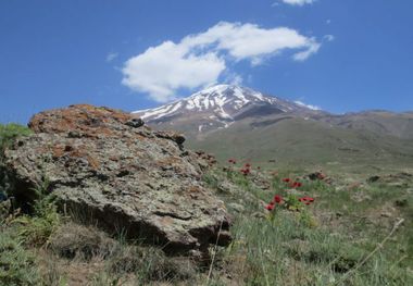 دشت شقایق و چشمه های آب گرم 