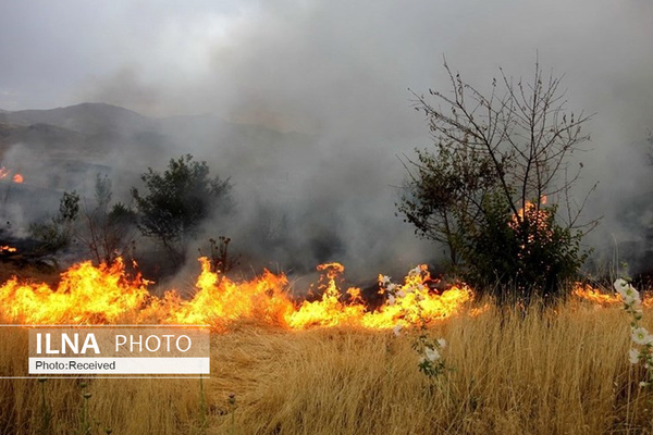 آتش‌سوزی در 10 هکتار از جنگل‌های میشداغ   مهار آتش با حداقل امکانات