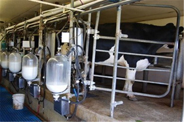 خرید شیر از واسطه ها در قزوین ممنوع شد