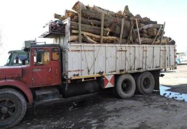 امسال بیش از 18 تن چوب قاچاق در بیجار کشف شد