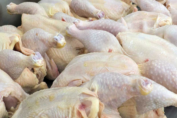 40 تن گوشت گرم مرغ در شهرستان مهریز توزیع شد