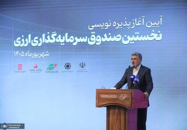 صیدی: صندوق‌های ارزی متعددی طراحی شده است/ حقیقی‌ها بیشترین استقبال را کردند