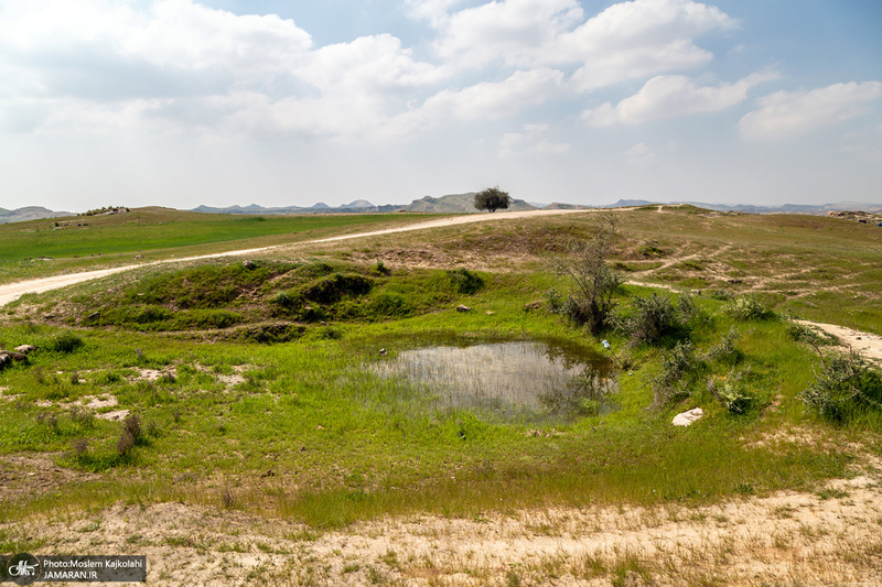 طبیعت زیبای صحرای ماهور