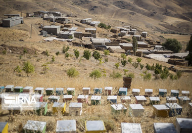 طرح توسعه منظومه روستایی در گچساران آغاز شد