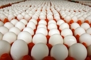 سه هزار و 700 کیلوگرم تخم مرغ فاسد در آستارا توقیف شد