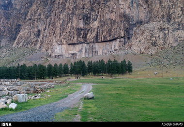 نگران حال کاجستانیم  کاج‌ها آبیاری نمی‌شوند