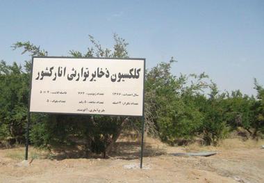 احیا و جوان سازی مرکز  تحقیقات انار یزد بعد از 30 سال