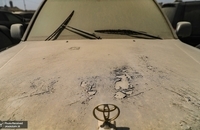 خاک خوردن خودروهای میلیاردی در بندرعباس (6)