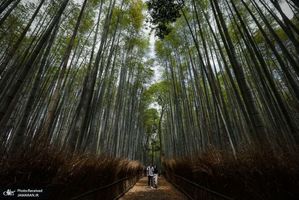 منتخب تصاویر امروز جهان- 9 خرداد