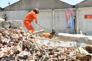 منتخب تصاویر امروز جهان - 20 اردیبهشت 1402