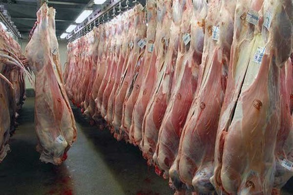 توزیع گوشت قرمز تنظیم بازار در بوشهر آغاز شد