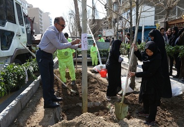 103 هزار نهال در شهرستان ری غرس شد