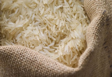 قیمت برنج خارجی کم شد (۶ شهریور ۱۴۰۵)