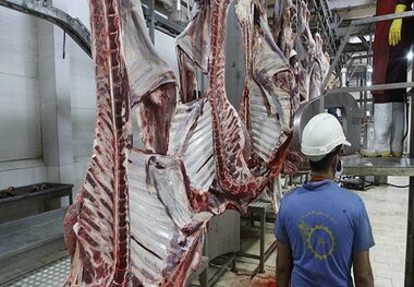 نیمه پنهان ماجرای آلایندگی کشتاگاه میاندرود در فضای مجازی