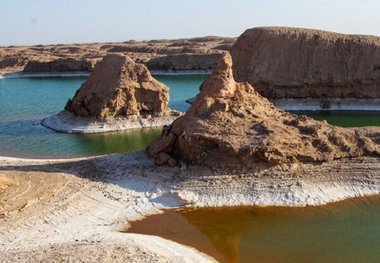 حضور پرندگان مهاجر در میانه کویر لوت دریاچه جوان جان دوباره گرفت