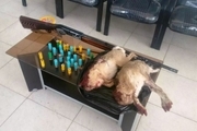 شکارچیان غیر مجاز خرگوش در چادگان دستگیر شدند