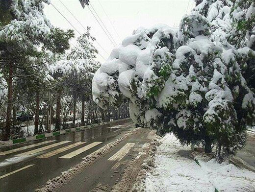 بارش برف سنگین مدارس و دانشگاه های همدان را تعطیل کرد