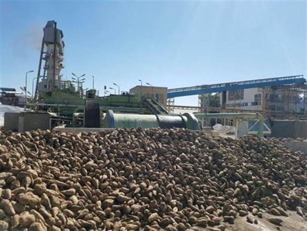 تاسیس 8 کارخانه در خوزستان برای خودکفایی شکر ضروری است
