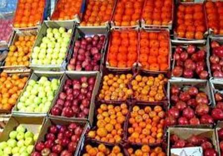 450 تن میوه شب عید برای فردیس اختصاص یافت