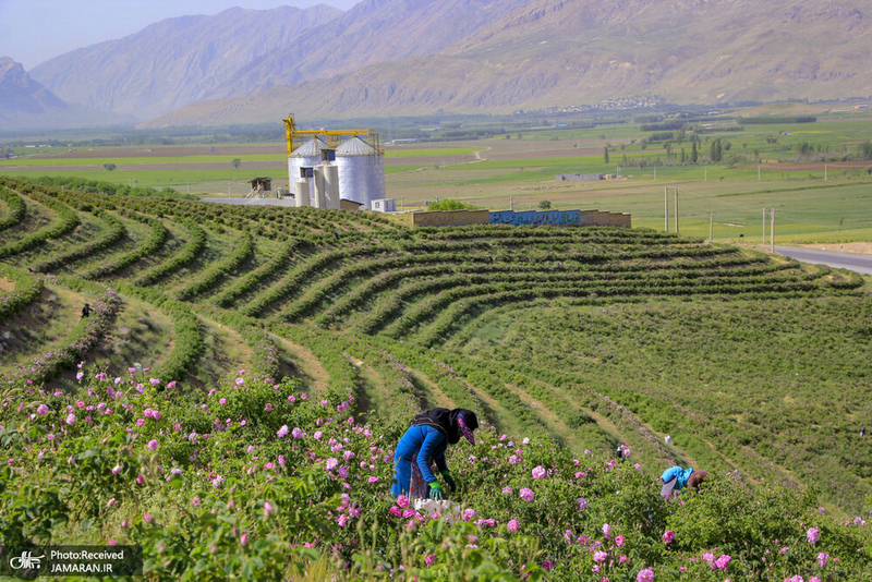 منتخب تصاویر امروز جهان- 15 خرداد