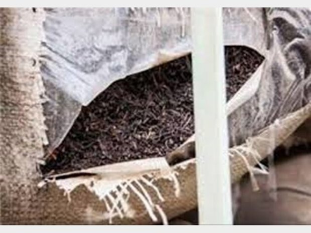 کشف بیش از 700 کیلوگرم چای قاچاق در اردستان