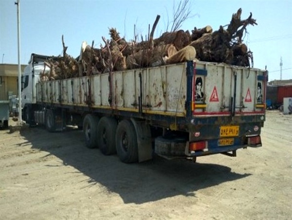 توقیف یک محموله چوب قاچاق در قزوین