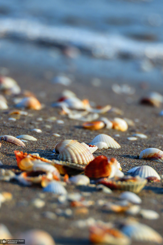 ساحل چمخاله