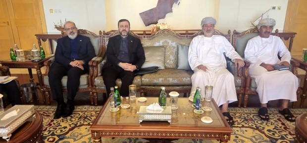 اولین نشست کمیته مشترک هرمز با حضور ایران و عمان برگزار شد +  عکس