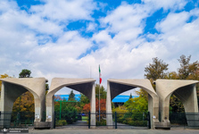 روایت 2 تن از دانشجویان دانشگاه تهران از اتفاقات امروز(یکشنبه 3 اسفند): دو - سه ساعت اول سطح خشونت خیلی پایین بود، تا اینکه.../ دو خانم‌ و چهار نفر از آقایان بسیجی دچار مصدومیت شدند/ عدم انسجام شعاردهندگان به چشم می‌خورد