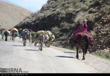 ۱۵ اردیبهشت زمان ورود عشایر به همدان