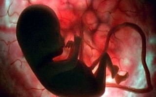 ۳۲ سقط جنین در کهگیلویه و بویراحمد  کاهش ۱۸ درصدی سقط جنین در استان