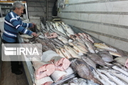 تولید حدود چهار هزار تن ماهی خوراکی در قزوین